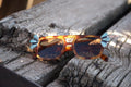 Sun Chaser Sunnies #8