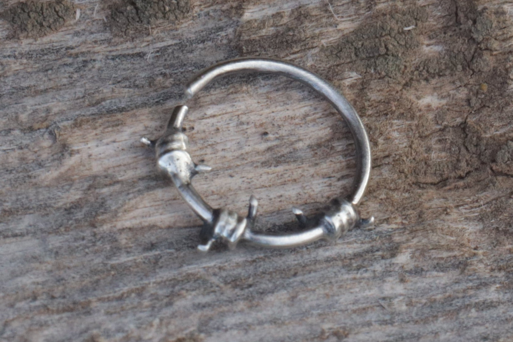 Barbed Cartilage Ring