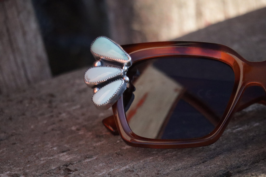 Sun Chaser Sunnies #3