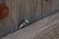 Blue Stone Bali Ring