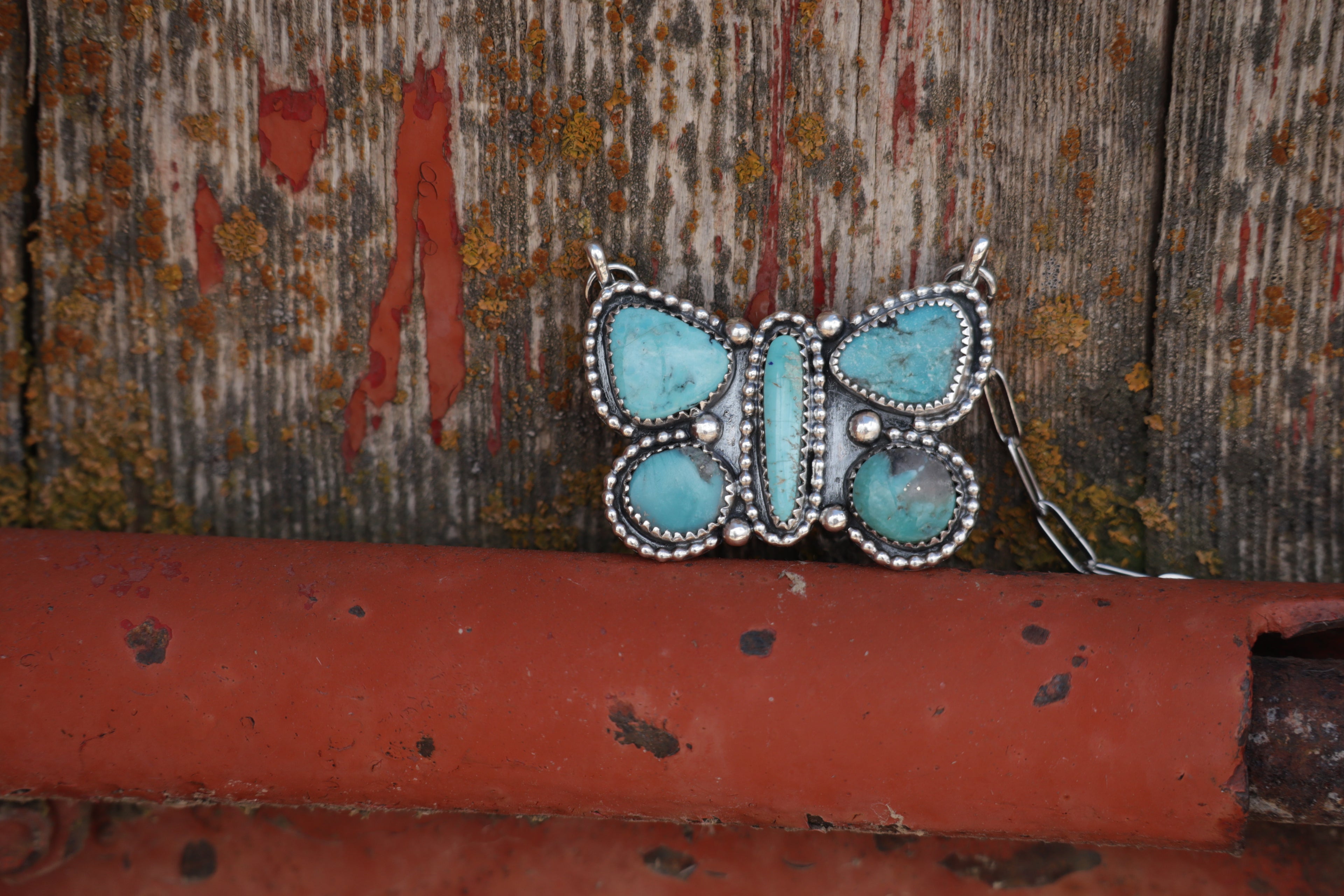 Fly Away Home